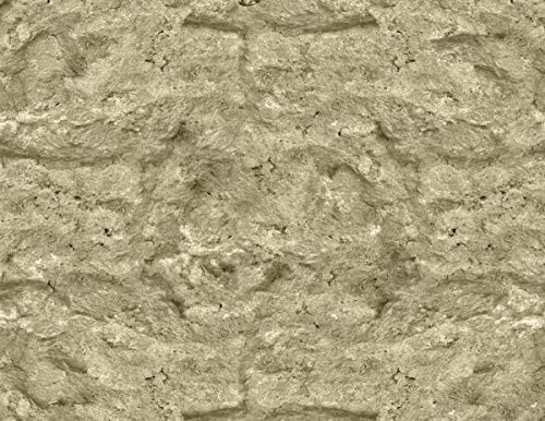Model Train Scenery Paper _5 Sheets 8.5 inch x11 inch  _Tan Rock_ G Scale_