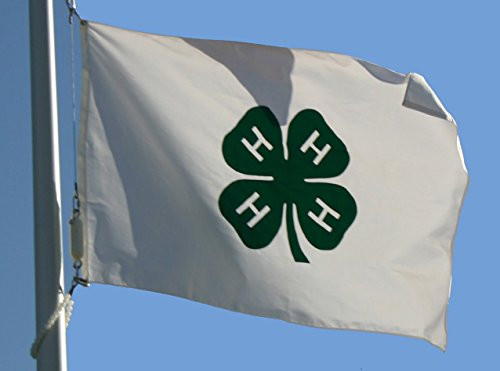 3X5 Ft 4H 4_H Organization 4 H Club Flag With Brass Grommets 3X5 Ft 4H 4_H Organization 4 H Club Flag With Brass Grommets