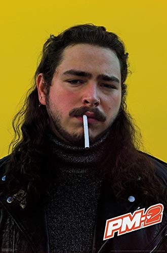 Studio B Poster Post Malone _ Smoke 36x24 Wall Art p7324