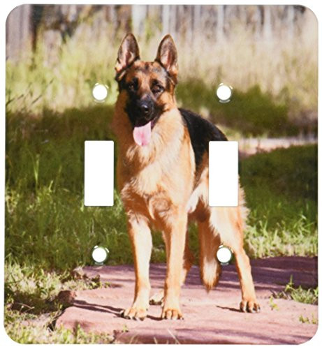 3dRose lsp_145335_2 German Shepherd Dog In A Yard - Us32 Zmu0085 - Zandria Muench Beraldo - Double Toggle Switch