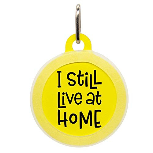 Personalized I Still Live At Home Pet ID Name Tag with Silencer for Cats or Dogs by Oh My Paw'd