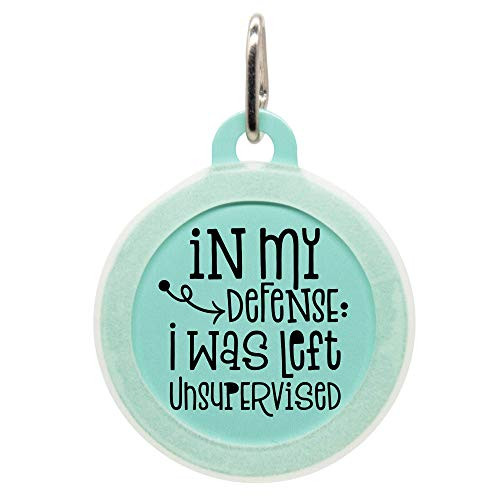 Personalized In My Defense I Was Left Unsupervised Pet ID Name Tag with Silencer for Cats or Dogs by Oh My Paw'd
