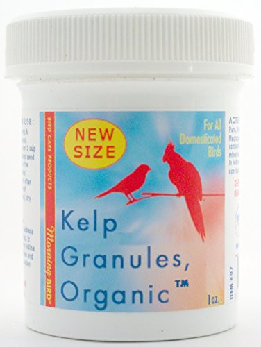 Morning Bird Kelp Granules_ Nutritional Supplement for Birds _1 oz_