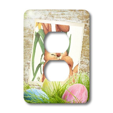3dRose lsp_14885_6 Honey Bunny 2 Plug Outlet Cover
