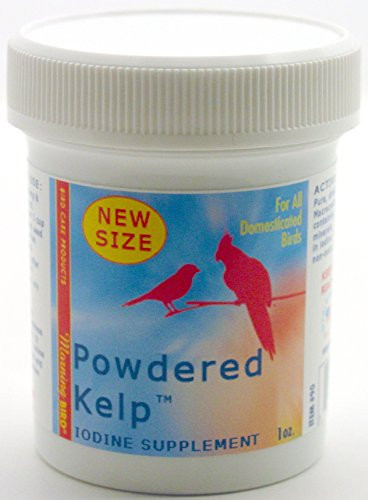 Morning Bird Powdered Kelp_ Nutritional Supplement _1 oz_