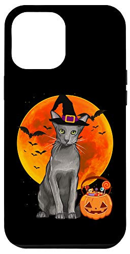 iPhone 12 Pro Max Cat Halloween Oriental Jack O Lantern Pumpkin Case