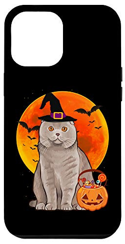 iPhone 12 Pro Max Cat Halloween Scottish Fold Jack O Lantern Pumpkin Case