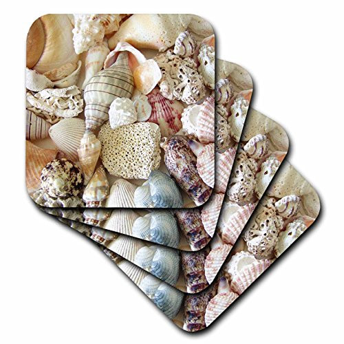 3dRose cst_40854_2 Florida Seashells II Soft Coasters, Set of 8