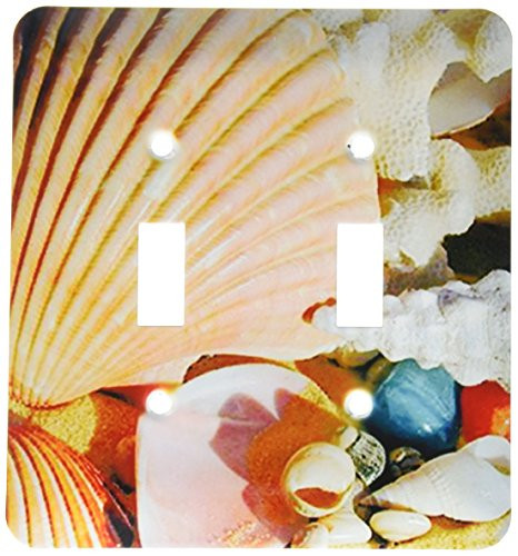 3dRose lsp_935_2 Sea Shells - Double Toggle Switch