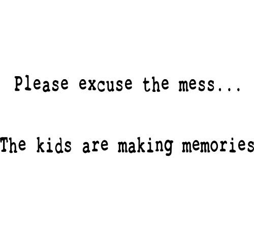 VWAQ Please Excuse The Mess Wall Decal Kids Playroom Wall Stickers Quotes for Childrens Rooms _10 inch  H X 30 inch  W_