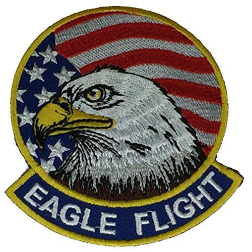 USAF F_15 EAGLE FLIGHT Patch _ Color _ Veteran Owned Business
