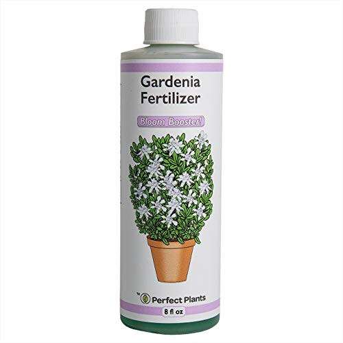 Perfect Plants Gardenia Liquid Fertilizer _ 8oz. Tailored Bloom Boosting Plant Food _ Great for Indoor Outdoor Flowering Plants