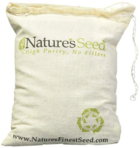 Intermountain West Honey Bee Pasture Blend _1000 sq ft_