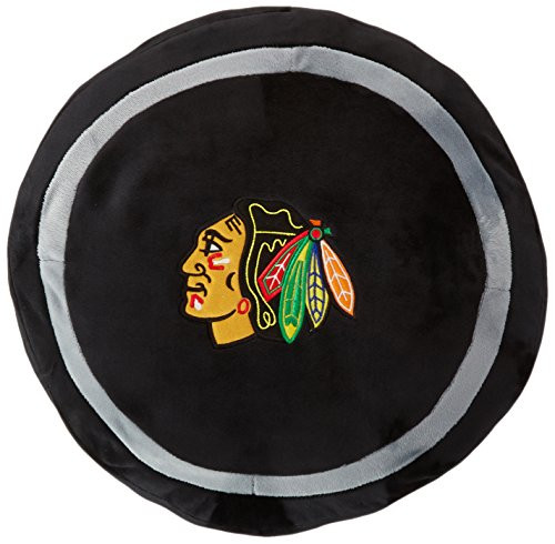 Northwest Officially Licensed NHL St. Louis Blues 3D Sports Pillow