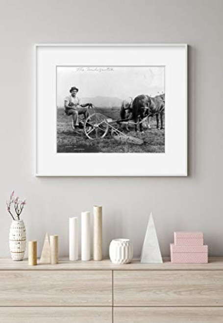 INFINITE PHOTOGRAPHS Photo c1906 James J Jeffries_Boxer_Champion Horse_Drawn Mower INFINITE PHOTOGRAPHS Photo c1906 James J Jeffries_Boxer_Champion Horse_Drawn Mower