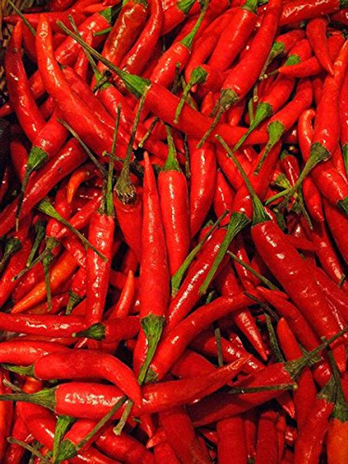 Thai Pepper _ Capsicum frutescens L. 20 Seeds _Organically Grown_ Thai Pepper _ Capsicum frutescens L. 20 Seeds _Organically Grown_
