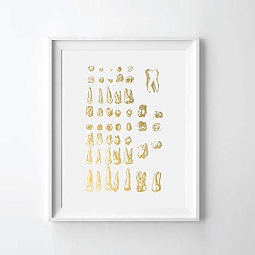 Human Tooth III Gold Foil Art Print Human Teeth Anatomy Gold Print Dental Students Dentist Gift _05 inch  x 07 inch  UNFRAMED_