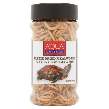 Aquaculture Fluker's Freeze Dried Mealworms_ 1.6 oz
