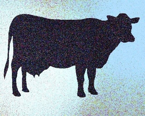 Cow Stencil Mylar Cows Rustic Chic Farm Animal Stencils
