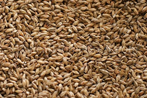 Gambrinus Honey Malt _5 lb._