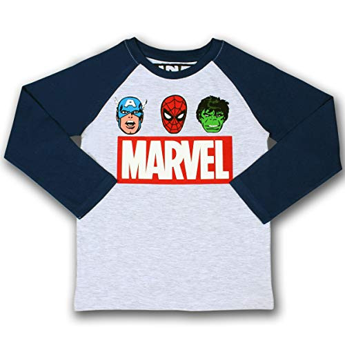 Marvel Boy's Heroes Pullover Long Sleeve Raglan Tee Shirt_ Grey_ Size 7T