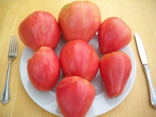 Russian Heirloom Tomato Seed Collection_ 7 Rare Varieties_ 275 Plus  Seeds