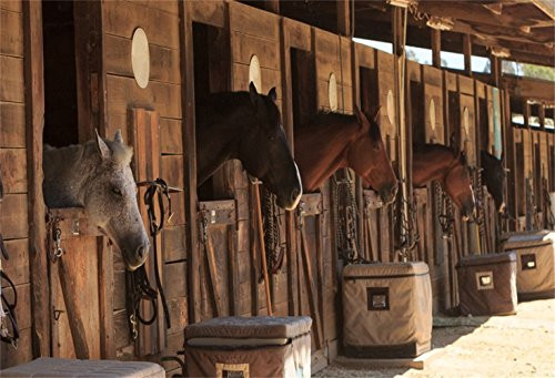 Laeacco Stable Backdrop 5x3ft Vinyl Photography Background Stud_Farm Horses Scene Backdrop Farm Country Village Rustic Rural Theme Background Cowboy Portrait Background Prop Photo Shooting Stand Laeacco Stable Backdrop 5x3ft Vinyl Photography Background Stud_Farm Horses Scene Backdrop Farm Country Village Rustic Rural Theme Background Cowboy Portrait Background Prop Photo Shooting Stand