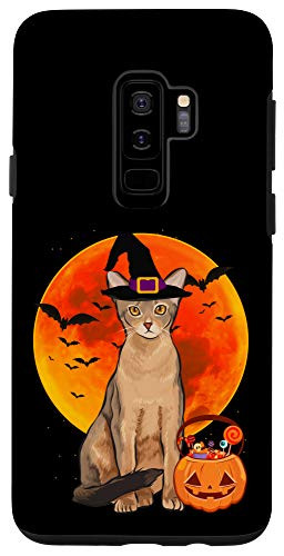 Galaxy S9 Plus  Cat Halloween Abyssinian Jack O Lantern Pumpkin Case