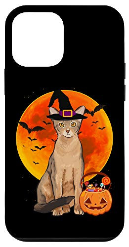 iPhone 12 mini Cat Halloween Abyssinian Jack O Lantern Pumpkin Case