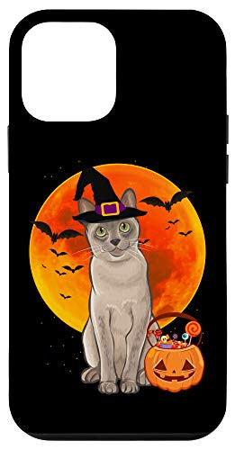 iPhone 12 mini Cat Halloween Burmese Jack O Lantern Pumpkin Case