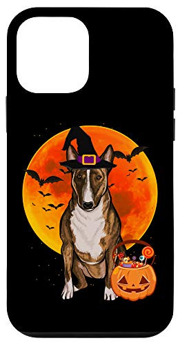 iPhone 12 mini Dog Halloween Miniature Bull Terrier Jack O Lantern Pumpkin Case