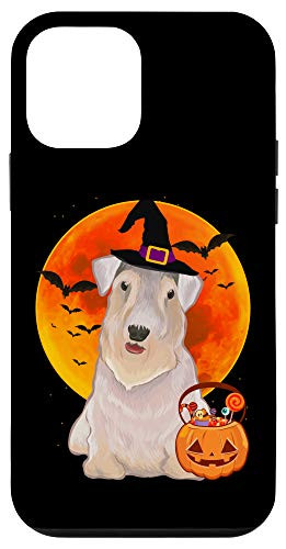 iPhone 12 mini Dog Halloween Sealyham Terrier Jack O Lantern Pumpkin Case