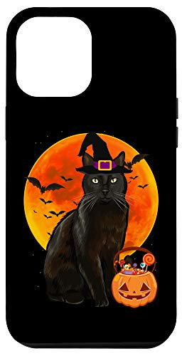 iPhone 12 Pro Max Cat Halloween Bombay Jack O Lantern Pumpkin Case