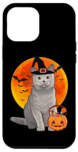 iPhone 12 Pro Max Cat Halloween British Shorthair Jack O Lantern Pumpkin Case