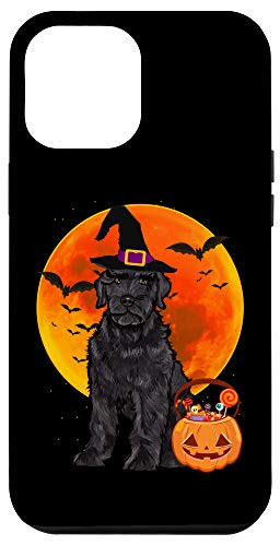 iPhone 12 Pro Max Dog Halloween Black Russian Terrier Jack O Lantern Pumpkin Case