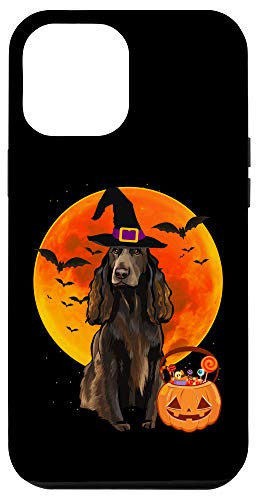 iPhone 12 Pro Max Dog Halloween Field Spaniel Jack O Lantern Pumpkin Case