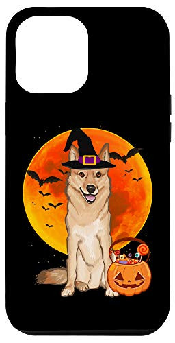 iPhone 12 Pro Max Dog Halloween Finnish Spitz Jack O Lantern Pumpkin Case