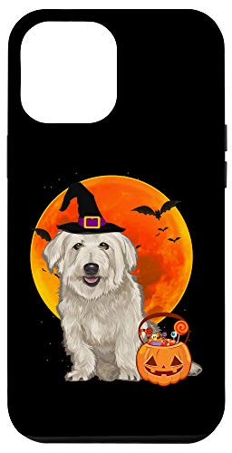 iPhone 12 Pro Max Dog Halloween Glen of Imaal Terrier Jack O Lantern Pumpkin Case