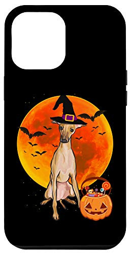 iPhone 12 Pro Max Dog Halloween Italian Greyhound Jack O Lantern Pumpkin Case