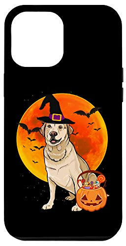 iPhone 12 Pro Max Dog Halloween Labrador Retriever Jack O Lantern Pumpkin Case