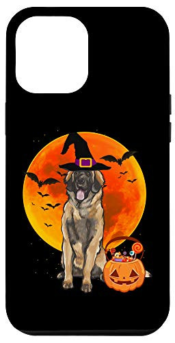 iPhone 12 Pro Max Dog Halloween Leonberger Jack O Lantern Pumpkin Case