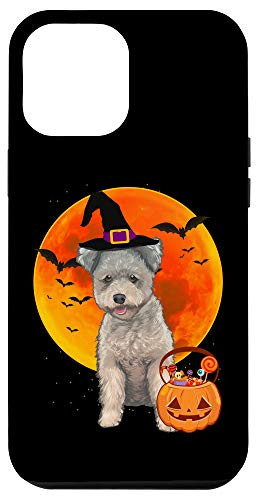 iPhone 12 Pro Max Dog Halloween Pumi Jack O Lantern Pumpkin Case