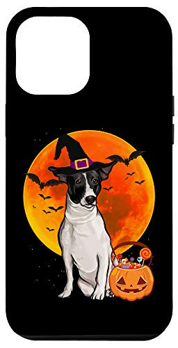 iPhone 12 Pro Max Dog Halloween Rat Terrier Jack O Lantern Pumpkin Case