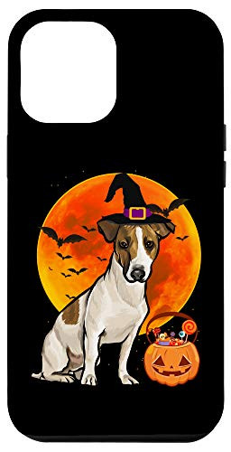 iPhone 12 Pro Max Dog Halloween Russell Terrier Jack O Lantern Pumpkin Case