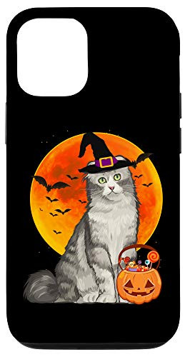 iPhone 12 12 Pro Cat Halloween American Curl Jack O Lantern Pumpkin Case