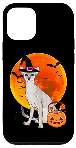 iPhone 12 12 Pro Cat Halloween Colorpoint Shorthair Jack O Lantern Pumpkin Case