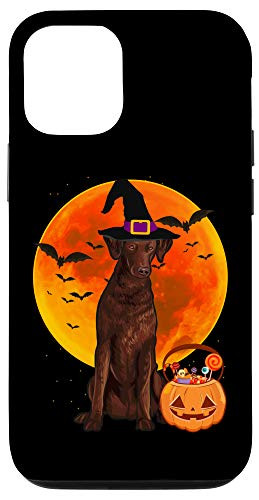 iPhone 12 12 Pro Dog Halloween Curly_Coated Retriever Jack O Lantern Pumpkin Case
