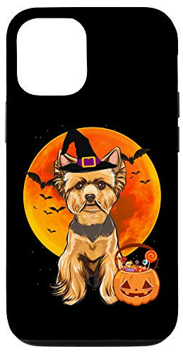 iPhone 12 12 Pro Dog Halloween Yorkshire Terrier Jack O Lantern Pumpkin Case