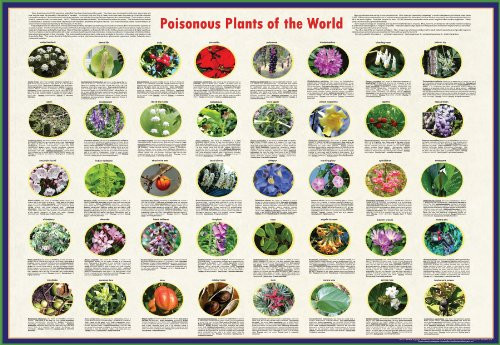 American Educational Poisonous Plants Poster of The World, 38" Length x 26-1/2" Width