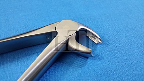 GOLD HANDLE PREMIUM O.R GRADE DENTAL LOWER MOLARS EXTRACTION EXTRACTING FORCEPS  MD4 MEAD  4 _HTI BRAND_